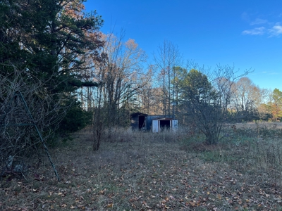 House and 10 Acres for sale Rupert Arkansas - image 38