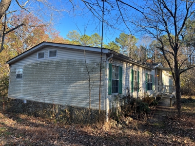 House and 10 Acres for sale Rupert Arkansas - image 19
