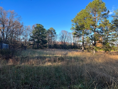 House and 10 Acres for sale Rupert Arkansas - image 39