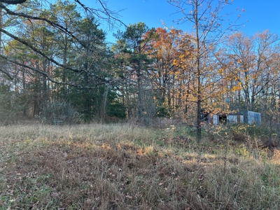 House and 10 Acres for sale Rupert Arkansas - image 40