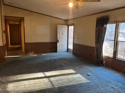 House and 10 Acres for sale Rupert Arkansas - image 23