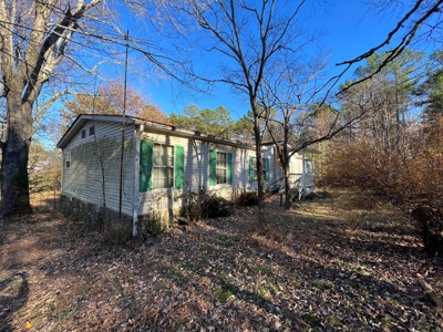House and 10 Acres for sale Rupert Arkansas - image 13