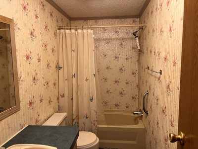 House and 10 Acres for sale Rupert Arkansas - image 33