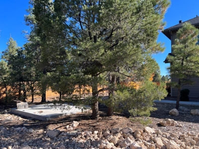 Beautiful home at the Grand Canyon - image 5