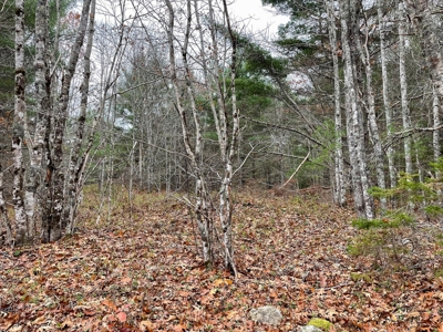 40 Acre Off-grid Paradise - image 5