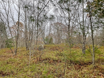 40 Acre Off-grid Paradise - image 7