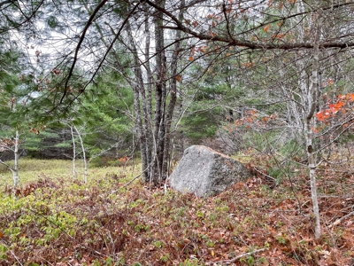 40 Acre Off-grid Paradise - image 9