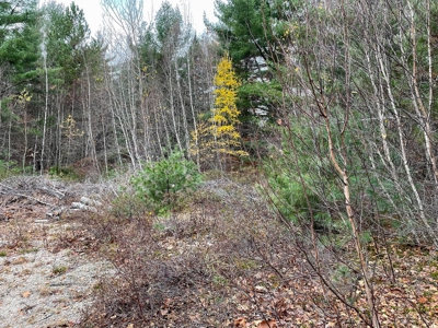 40 Acre Off-grid Paradise - image 6