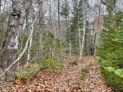 40 Acre Off-grid Paradise - image 1