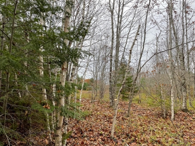 40 Acre Off-grid Paradise - image 3