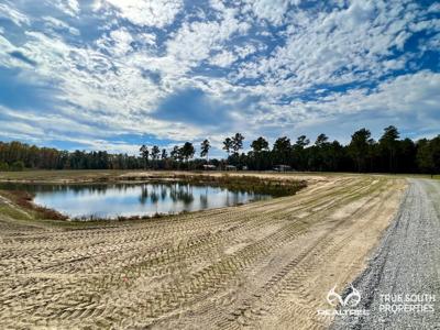 Grays Country Farm Home Estate - image 47