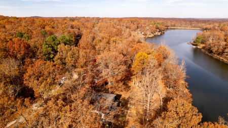 Lakefront Home in Cherokee Village, Arkansas - image 27