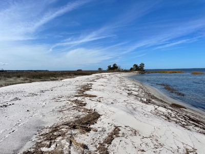 Waterfront Lot for Sale Beaufort NC - image 13