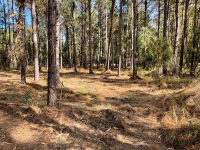 Waterfront Lot for Sale Beaufort NC - image 25