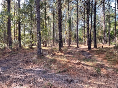 Waterfront Lot for Sale Beaufort NC - image 30