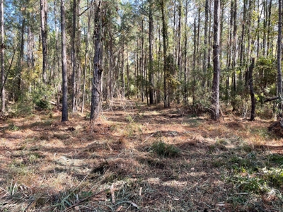 Waterfront Lot for Sale Beaufort NC - image 24