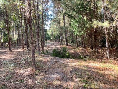 Waterfront Lot for Sale Beaufort NC - image 31