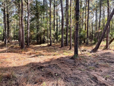Waterfront Lot for Sale Beaufort NC - image 28