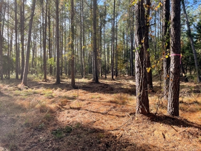 Waterfront Lot for Sale Beaufort NC - image 29