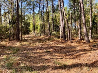 Waterfront Lot for Sale Beaufort NC - image 27