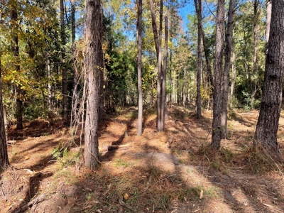 Waterfront Lot for Sale Beaufort NC - image 26