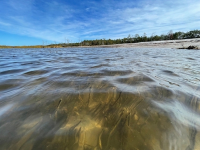Waterfront Lot for Sale Beaufort NC - image 21