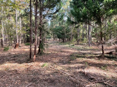 Waterfront Lot for Sale Beaufort NC - image 23