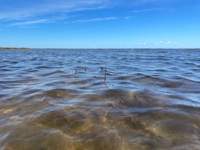 Waterfront Lot for Sale Beaufort NC - image 18