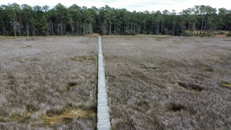 Waterfront Lot for Sale Beaufort NC - image 7