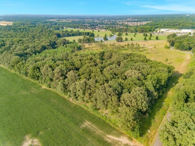 Residential Development Opportunity in Jackson, TN - image 1