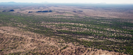Hunting Ranch For Sale in Hermosillo Mexico - image 46