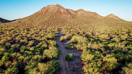 Hunting Ranch For Sale in Hermosillo Mexico - image 39