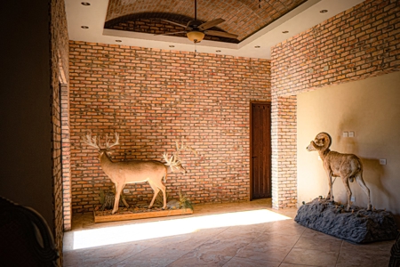 Hunting Ranch For Sale in Hermosillo Mexico - image 34