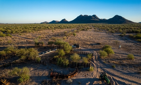 Hunting Ranch For Sale in Hermosillo Mexico - image 26