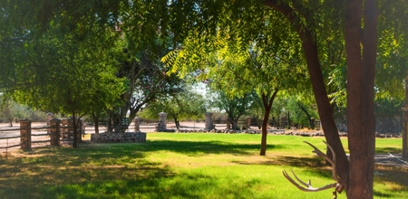 Hunting Ranch For Sale in Hermosillo Mexico - image 13