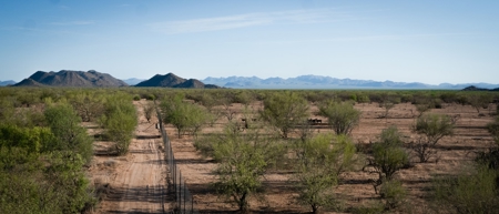 Hunting Ranch For Sale in Hermosillo Mexico - image 11
