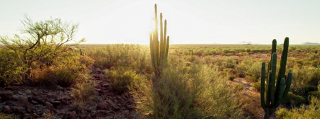 Hunting Ranch For Sale in Hermosillo Mexico - image 41