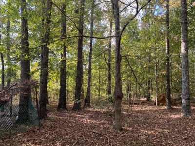 Like New Country Home For Sale In Tn, 6 Acres+/- & Shop - image 39