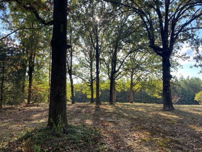 Like New Country Home For Sale In Tn, 6 Acres+/- & Shop - image 35