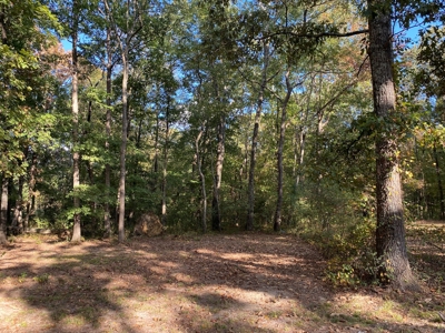 Like New Country Home For Sale In Tn, 6 Acres+/- & Shop - image 38