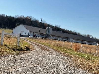 Discover Prime Organic Farming and Equestrian Land - 9.55 Ac - image 9