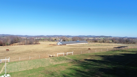 Discover Prime Organic Farming and Equestrian Land - 9.55 Ac - image 4