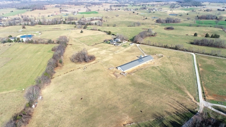 Discover Prime Organic Farming and Equestrian Land - 9.55 Ac - image 5