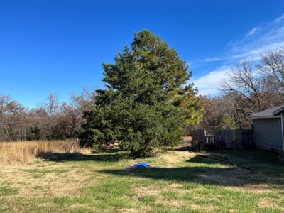 Country Home for Sale Lincoln County Ok - image 10