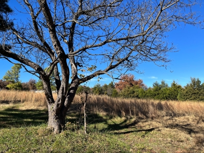 Country Home for Sale Lincoln County Ok - image 3