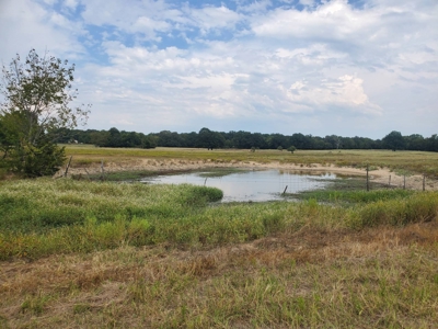40 ACRES PRIME HAY MEADOW/HUNTING LAND IN SOPER for SALE - image 14