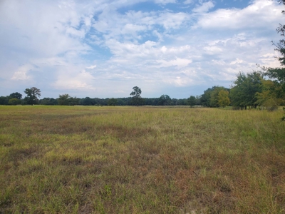 40 ACRES PRIME HAY MEADOW/HUNTING LAND IN SOPER for SALE - image 9