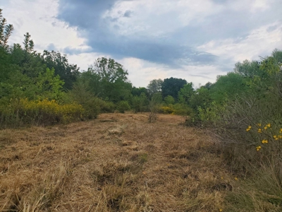 40 ACRES PRIME HAY MEADOW/HUNTING LAND IN SOPER for SALE - image 11