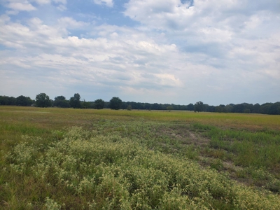 40 ACRES PRIME HAY MEADOW/HUNTING LAND IN SOPER for SALE - image 19