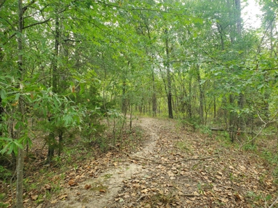 40 ACRES PRIME HAY MEADOW/HUNTING LAND IN SOPER for SALE - image 17